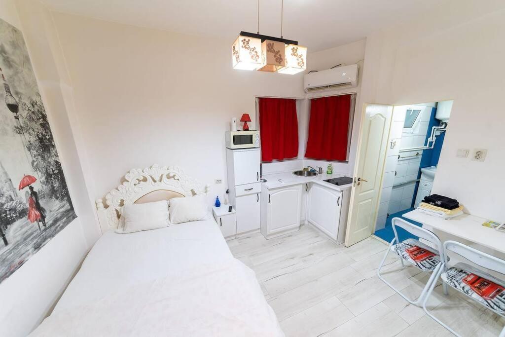 Cozybucharest Studio Extérieur photo